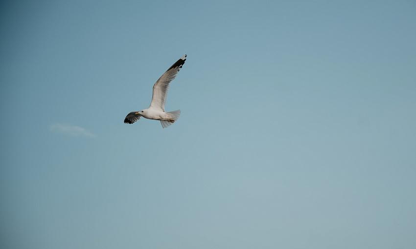 Picture3